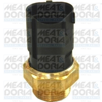 Temperature Switch, radiator fan